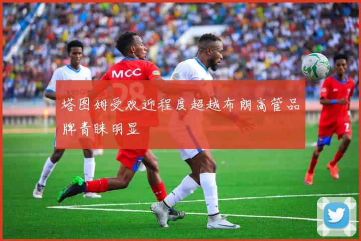 塔图姆受欢迎程度超越布朗高管品牌青睐明显